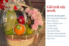 Giỏ Trái Cây 900k Mã HL9013