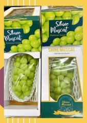 Nho sữa Hàn Quốc Hộp 1.1-1.3kg