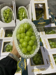 Nho sữa Hàn Quốc Hộp 1.1-1.3kg