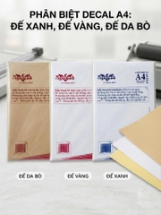 Decal A4 Đế Xanh, Đế Vàng, Đế Da Bò Khác Nhau Thế Nào?
