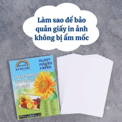 Cách Bảo Quản Giấy In Ảnh Không Bị Ẩm Mốc Hiệu Quả