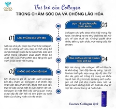 DẦU NGỰA, COENZYME Q10- TÁI TẠO DA
