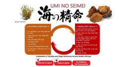 VIÊN UỐNG FUCOIDAN UMI NO SEIMEI NHẬT BẢN HỖ TRỢ ĐIỀU TRỊ VÀ PHÒNG NGỪA UNG THƯ