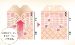 MARINE - COLLAGEN DẠNG TINH CHẤT