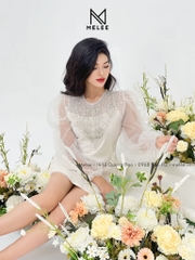 vay-kim-sa-dinh-da-thu-cong-2-chi-tiet