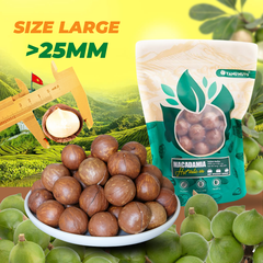 Hạt macca nứt vỏ TANU NUTS, hạt mắc ca Tây Nguyên đã rang sấy tốt cho bà bầu
