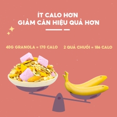 Ngũ cốc sữa chua sấy khô TANU NUTS túi 500g, granola ăn kiêng mix các loại hạt dinh dưỡng giảm cân.