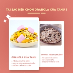 Ngũ cốc sữa chua sấy khô TANU NUTS túi 500g, granola ăn kiêng mix các loại hạt dinh dưỡng giảm cân.