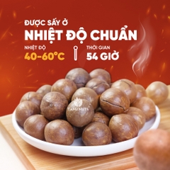 Hạt macca nứt vỏ TANU NUTS, hạt mắc ca Tây Nguyên đã rang sấy tốt cho bà bầu