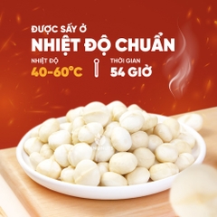 Nhân hạt macca tách vỏ TANU NUTS, hạt mắc ca Tây Nguyên rang sấy tốt cho bà bầu