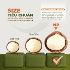 Nhân hạt macca tách vỏ TANU NUTS, hạt mắc ca Tây Nguyên rang sấy tốt cho bà bầu