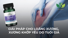 LOÃNG XƯƠNG, XƯƠNG KHỚP YẾU DO TUỔI GIÀ? GIẢI PHÁP HỖ TRỢ ĐẮC LỰC TỪ SWANSON BORON