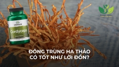 ĐÔNG TRÙNG HẠ THẢO CÓ TỐT CHO SỨC KHOẺ NHƯ LỜI ĐỒN?