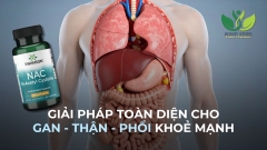 GIẢI PHÁP TOÀN DIỆN CHO GAN - THẬN - PHỔI MÀ BẠN NÊN BIẾT