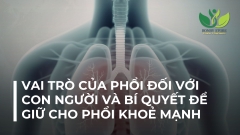 VAI TRÒ CỦA PHỔI ĐỐI VỚI CON NGƯỜI VÀ BÍ QUYẾT ĐỂ GIỮ CHO PHỔI KHOẺ MẠNH