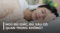 NGỦ ĐỦ GIẤC, ĐỦ SÂU CÓ QUAN TRỌNG KHÔNG?