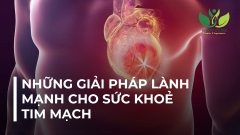 NHỮNG GIẢI PHÁP LÀNH MẠNH CHO SỨC KHOẺ TIM MẠCH