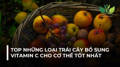 TOP NHỮNG LOẠI TRÁI CÂY BỔ SUNG VITAMIN C CHO CƠ THỂ TỐT NHẤT