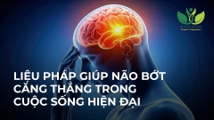 LIỆU PHÁP GIÚP NÃO BỚT CĂNG THẲNG TRONG CUỘC SỐNG HIỆN ĐẠI