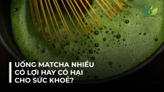 UỐNG MATCHA NHIỀU CÓ LỢI HAY HẠI GÌ CHO SỨC KHOẺ?