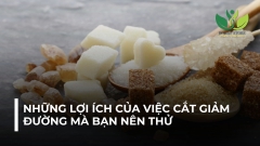 NHỮNG LỢI ÍCH CỦA VIỆC CẮT GIẢM ĐƯỜNG MÀ BẠN NÊN THỬ NGAY TỪ BÂY GIỜ