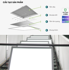 Đèn LED Panel 600*600 P06 50W RẠNG ĐÔNG