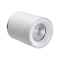 Đèn LED Chiếu Điểm Gắn Nổi 12W MPE