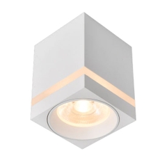 Đèn Ống Bơ Vuông 10W Euroto