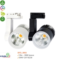 Đèn Led Rọi Ray Beryl Kingled DTL-30SS 30W