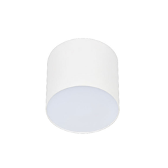 Đèn Lon Nổi Chống Chói Euroto 20W LN-212/LN-217