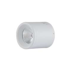 Đèn LED Downlight Nổi Trần 10W Rạng Đông - NT01 90/10W