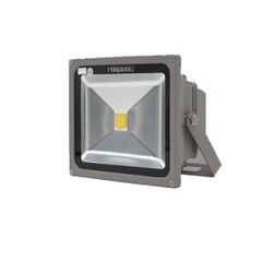 Đèn Led Pha Paragon POLH3065 30W