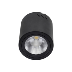 Đèn LED Downlight 25W Gắn Nổi Trụ Tròn - Paragon PSDOO196L25