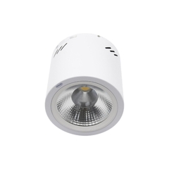 Đèn LED Downlight 30W Gắn Nổi Trụ Tròn - Paragon PSDOO230L30
