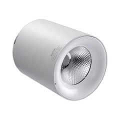 Đèn LED Chiếu Điểm Gắn Nổi 25W MPE