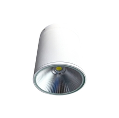 Đèn LED Downlight Gắn Nổi 10W-30W PARAGON Chống Nước IP65 Seri PSDRR