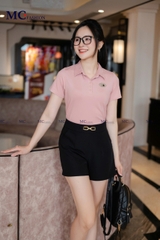 Áo Thun Polo AP254