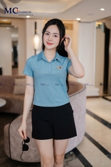 Áo Thun Polo AP254