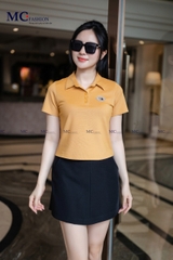 Áo Thun Polo AP254