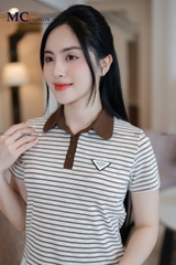 Áo thun kẻ ngang AP255