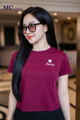 Áo thun cổ tròn AP258