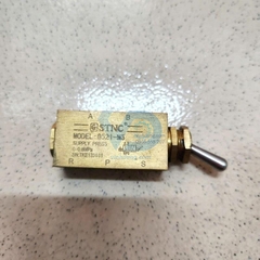 Van tay khí nén STNC G22 G321 G521