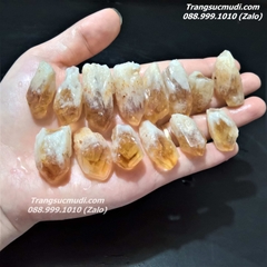 MẦM ĐÁ THẠCH ANH VÀNG TỰ NHIÊN - Mẫu DT22
