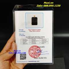 MẶT DÂY CHUYỀN VÔ SỰ BÀI NGỌC BÍCH XANH TỰ NHIÊN BỌC VÀNG CHO NAM- HÀNG VIP
