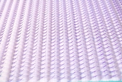 xl-promade-trays-color-5d-i-0-07