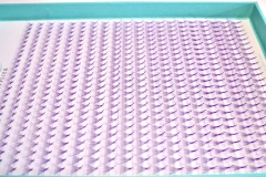 xl-promade-trays-color-7d-i-0-07