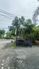 Cây sứ trắng