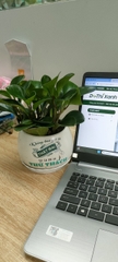 Chậu cây in logo-bán-chậu men sứ