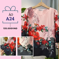 Áo A24