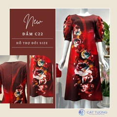 ĐẦM C22